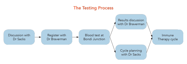 TestingProcess